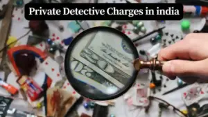 Private Detective Charges in india