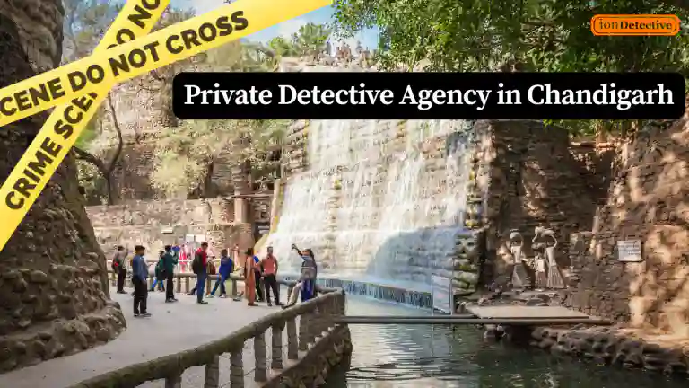 Private Detective Agency in Chandigarh