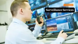 Surveillance Services
